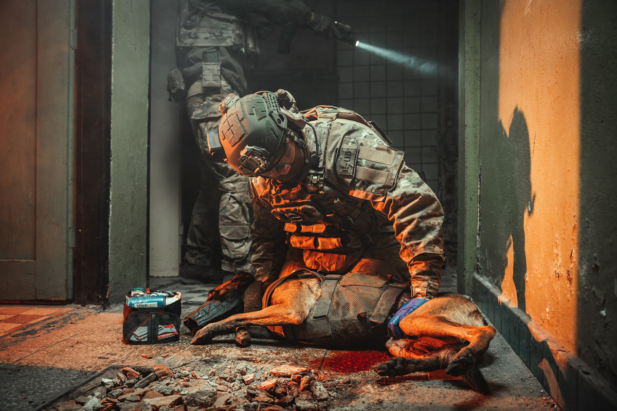 Dog first aid kits and K9 medical supplies for working dogs