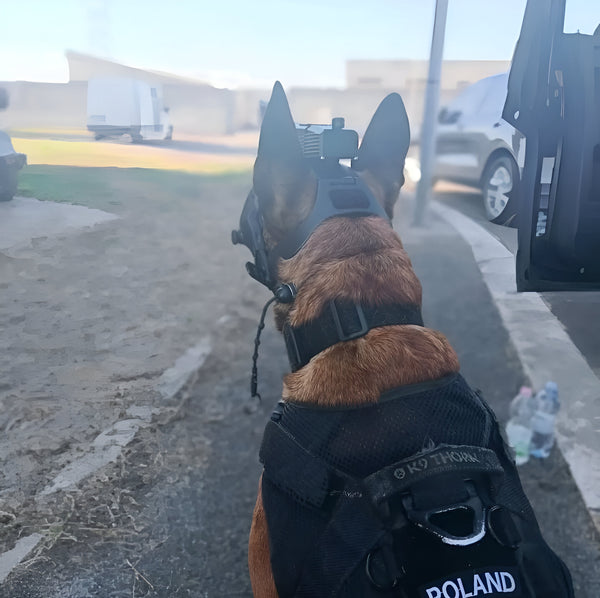 DarkFighter K9 Camera