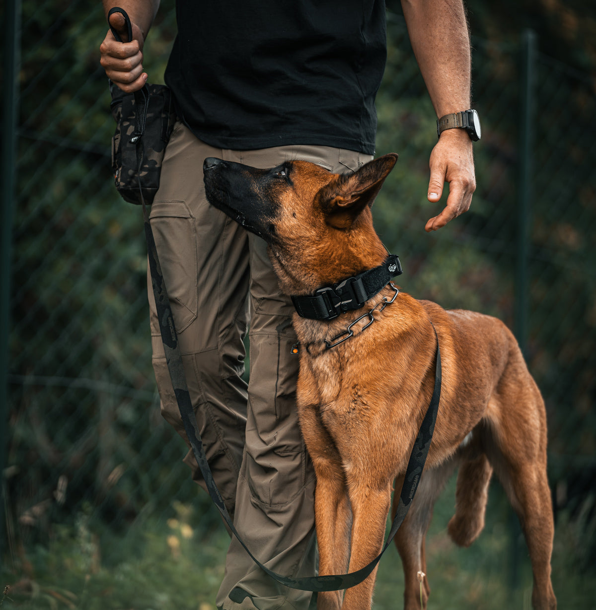 Origin K9 tactical dog leads and long lines with Kong Frog clips