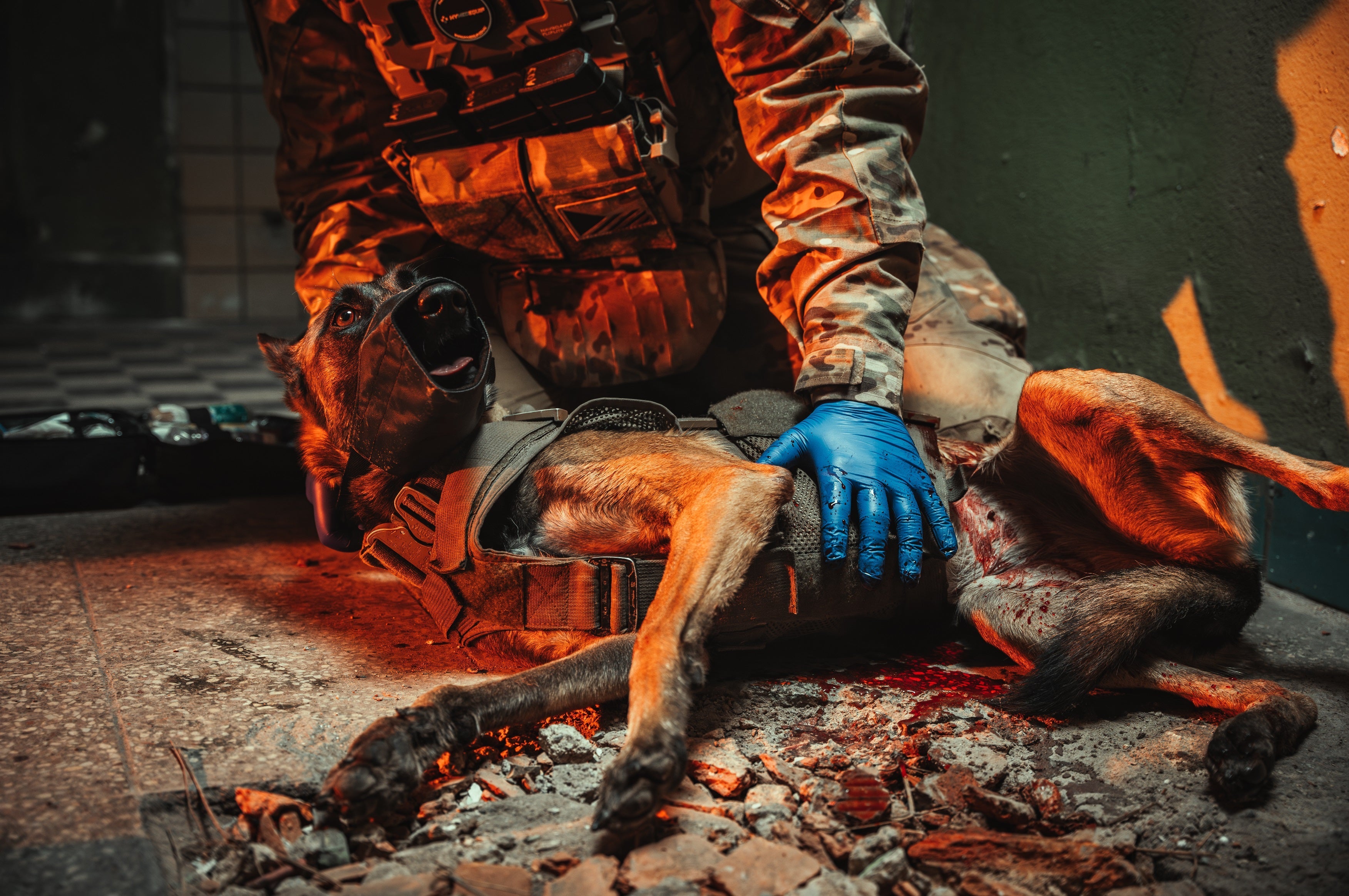 Tactical K9 First Aid Kits