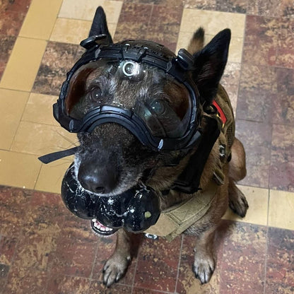 DarkFighter Built-In K9 Camera