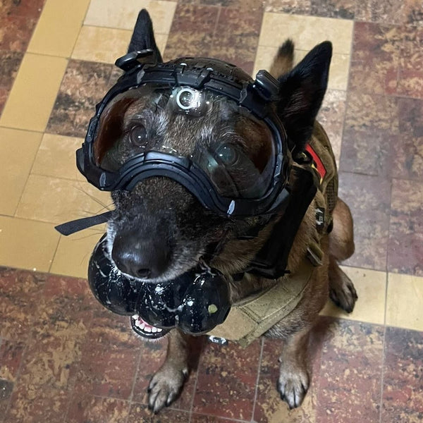 DarkFighter Built-In K9 Camera