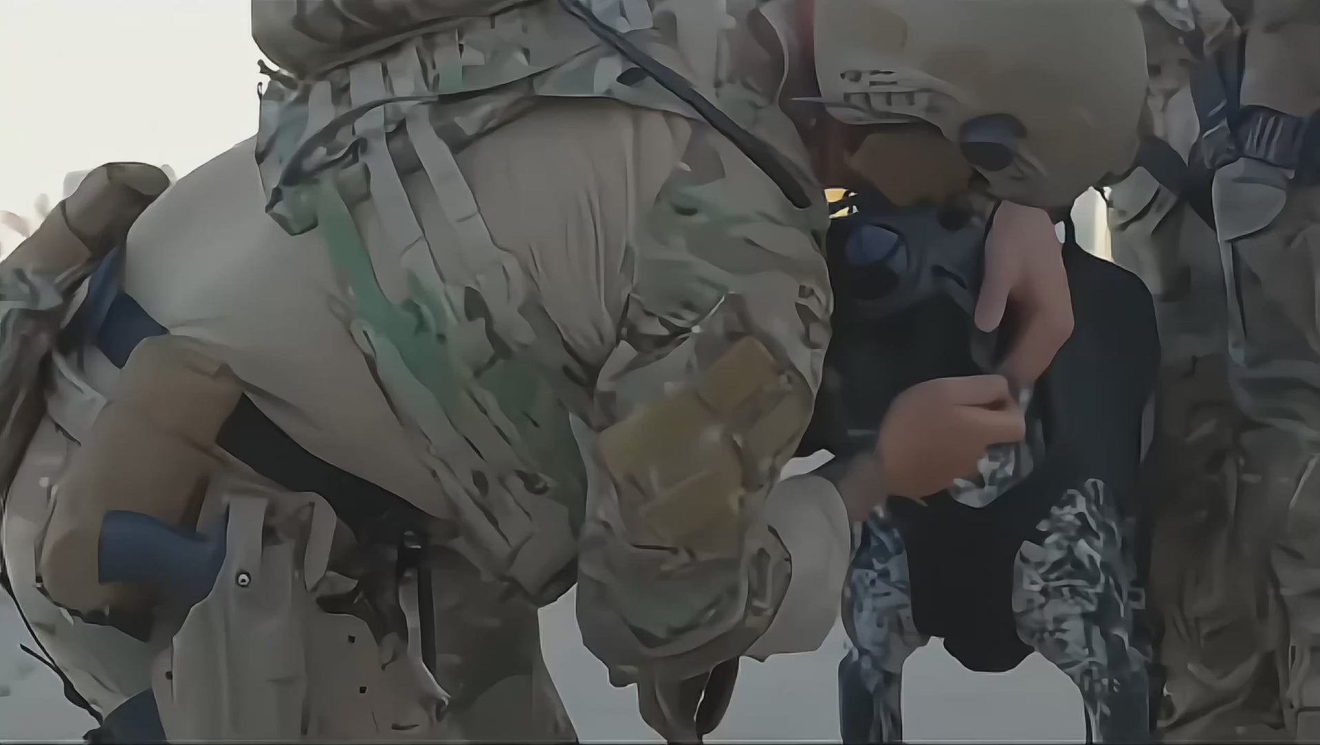 Load video: SPECIALIST K9 EQUIPMENT
